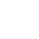 Fast Shipping