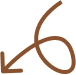 Vector