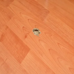 A circular hole in a light brown wood laminate floor